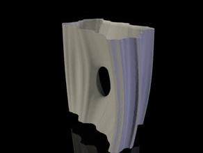julia vaso cirrus matematica arte frattale virtox 3d print model - Mito3D