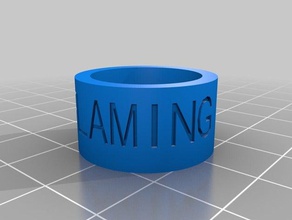 woggle los anillos personalizado 3d print model - Mito3D