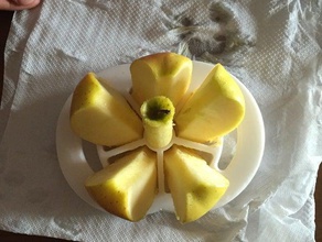 apple cutter - taglia mele kitchen & dining countertopchallenge mela 3d print model - Mito3D