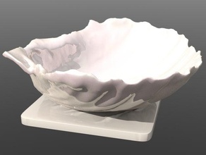 large shell tray bathroom 3d print model - Mito3D