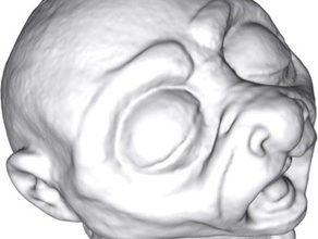 3d scan creature head scans replicas laser matterform photon scanner 3d print model - Mito3D