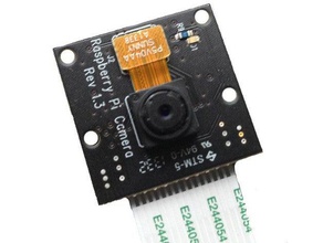 animusoft - raspberry pi noir fotocamera semplice montaggio il fai da te 3d print model - Mito3D
