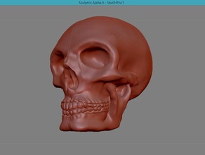 skull sculpt sculptures print 3d print model - Mito3D