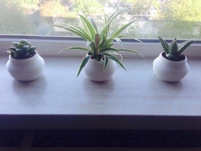 ekici dekor iç tasarım matbaa vasemaker bitkiler bitki pot küçük saksı 3d print model - Mito3D
