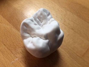 molar dente - de biologia dental os dentes 3d print model - Mito3D