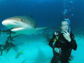 gopro monopé monte de mergulho câmera tubarão 3d print model - Mito3D