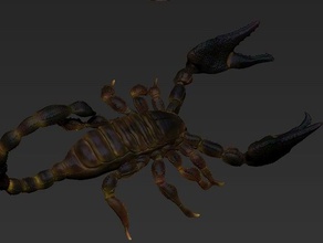 zbrush escorpião animais 3d print model - Mito3D