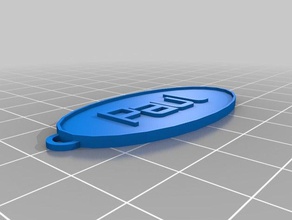 meine angepasste Ovale Schlüsselanhänger paul kundengebundene 3d print model - Mito3D