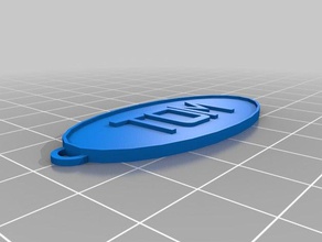 meine angepasste Ovale Schlüsselanhänger tom kundengebundene 3d print model - Mito3D