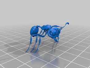 ant 3d printing 3d print model - Mito3D
