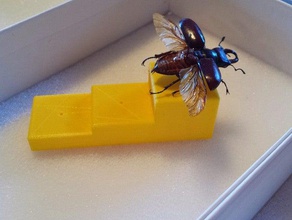 Insekt-pinning-block Biologie entomology Insekt 3d print model - Mito3D