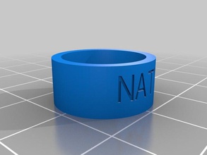 naty Ringe angepasst 3d print model - Mito3D