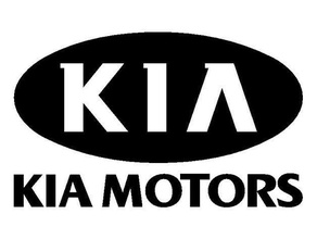 kia touche du logo de la chaîne porte-clés android 3d print model - Mito3D