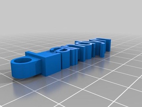landyn keychain organization customized 3d print model - Mito3D