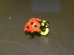 dailyearring66 ladybug other daily earrings lady bug bird 3d print model - Mito3D