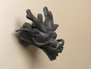 dragon head - fridge magnet animals 3d print model - Mito3D
