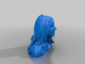 sarah t insanlar yapma bilim Festivali 3d print model - Mito3D