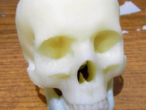 le crâne sculptures os la mort de l'homme humain 3d print model - Mito3D