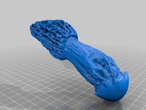 morel cogumelo modelos 3dscan om 3d print model - Mito3D