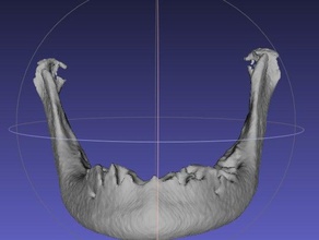 mandibula-desdentada biologia 3d print model - Mito3D