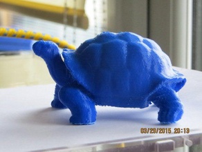 tortiose animals 3d print model - Mito3D