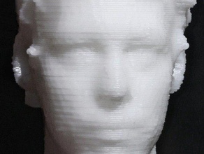 self portrait 3d scan other 3dscan bust fave figurine head man rapman reprap 3d print model - Mito3D