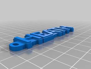 heath keychain 700 fonts organization customized 3d print model - Mito3D