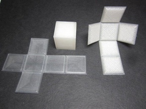 pliable cube d'impression à plat les mathématiques la géométrie hexaèdre k12 led leçon lumière makerbotacademymath manipulatrice platonique solide 3d print model - Mito3D