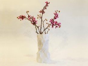 persa la primavera florero los contenedores alfombra de flor las flores del jarrón espiral 3d print model - Mito3D