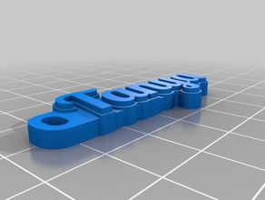 my customized hd font keychain v2 700 fonts t organization 3d print model - Mito3D