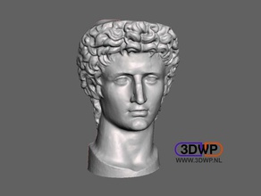 head roman emperor augustus 3d scan scans & replicas 123d 123dcatch catch ancient meshmixer art sculpture statue vatican 3d print model - Mito3D