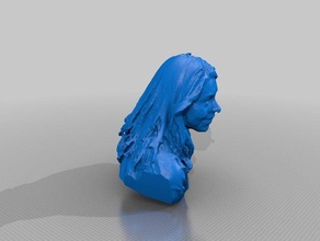 sarah baskı insanlar yapma bilim Festivali 3d print model - Mito3D