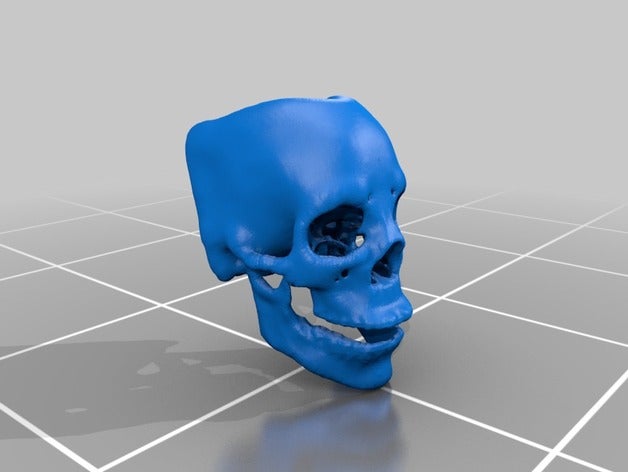 skull 3d printing 3D print model - Mito3D