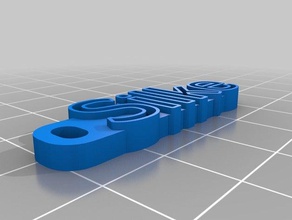 silke organização personalizado 3d print model - Mito3D