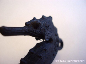 seahorse animals keychain sealife 3d print model - Mito3D