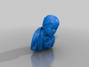 Sinne Menschen making-it science-festival 3d print model - Mito3D