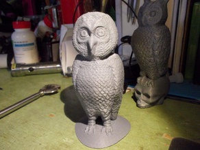 barn owl 2 animaux 3d print model - Mito3D