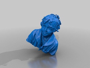 rohan Menschen making-it science-festival 3d print model - Mito3D