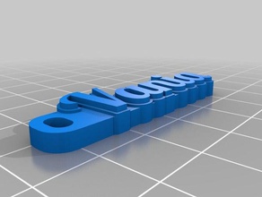 il mio personalizzato hd tag portachiavi organizzazione su misura 3d print model - Mito3D