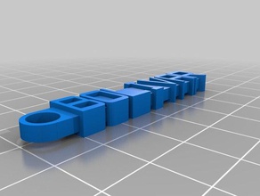 bolivar keychain organization customized 3d print model - Mito3D