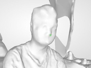 selfie 8 april 10 2015 scans & replicas cool me planet xerox sam weber scan wow 3d print model - Mito3D