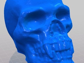 skull utv shift knob automotive 3d print model - Mito3D
