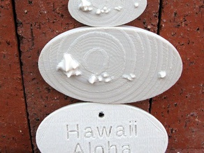 souvenir d'hawaï pièces et badges 3d print model - Mito3D