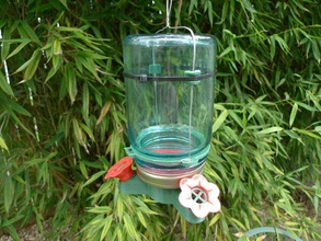hummingbird feeder sport outdoors birds birdwatching gift mason jar nature schlaboratory tinkercad 3d print model - Mito3D