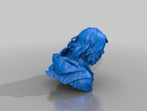 melissa Menschen making-it science-festival 3d print model - Mito3D