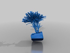 pflanze Menschen making-it science-festival 3d print model - Mito3D