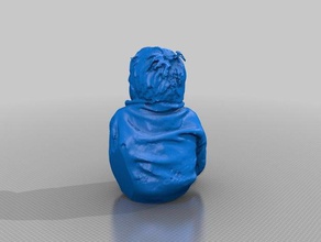 boy2 Menschen making-it science-festival 3d print model - Mito3D