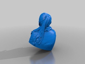 naomi insanlar yapma bilim Festivali 3d print model - Mito3D