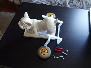puppy cart prototype 1 other assistance dog medical pets vehicle veterinary wheelchair 3d print model - Mito3D