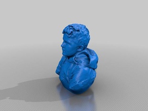 niall insanlar yapma bilim Festivali 3d print model - Mito3D